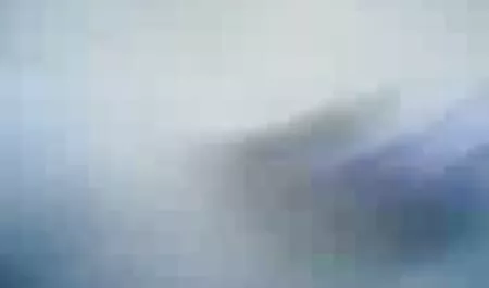 Ein Dieb zu Gefängni ...
